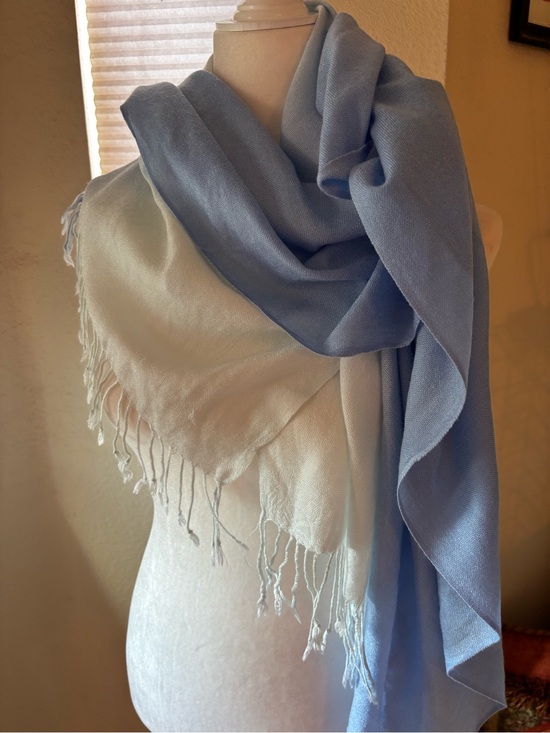 Nicole Marciano Accessories - Nicole Marciano Scarf Blue Ombre